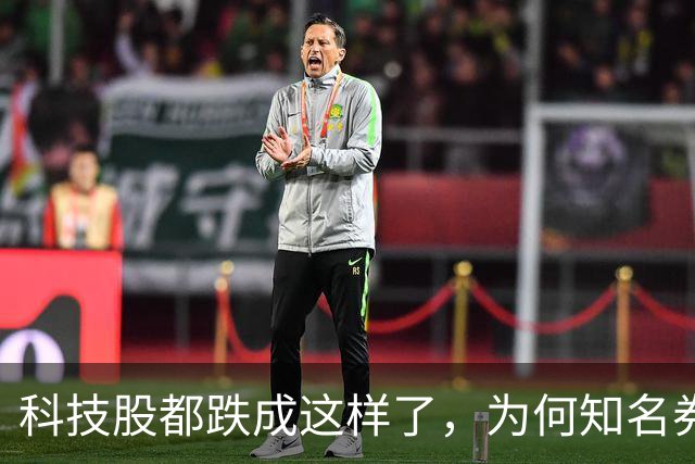 科技股都跌成这样了，为何知名券商首席却说科技行情还远未结束？